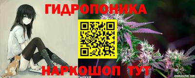 шишки Усть-Илимск
